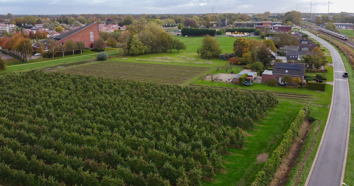Bewoners bang voor overlast van aso-woningen: ‘We zetten allemaal een hek neer of nemen een hond’