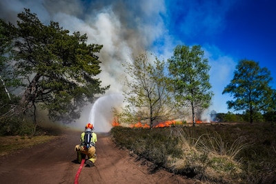 Image related to the article
