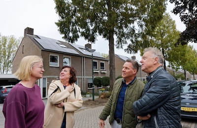 Na jarenlange strijd tegen overlast van bomen in Schijndel is het geduld op: ‘Brief is wanhoopspogin