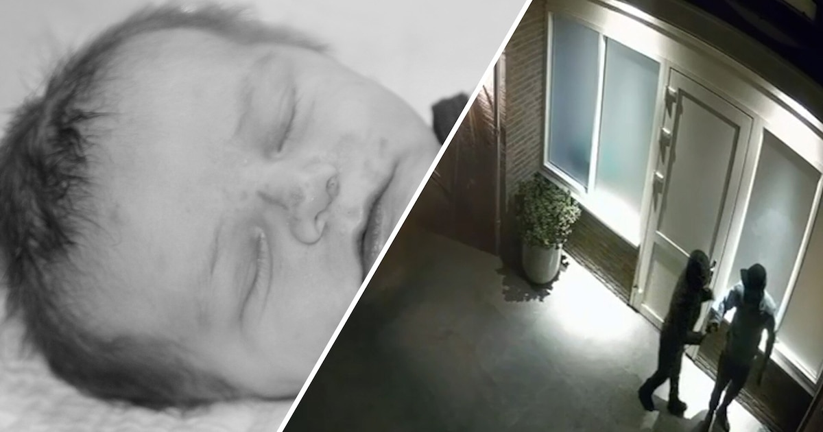 Familie Van Bommel smeekt inbrekers om terugkeer van kostbare beelden: ‘Levi hoort bij ons gezin’