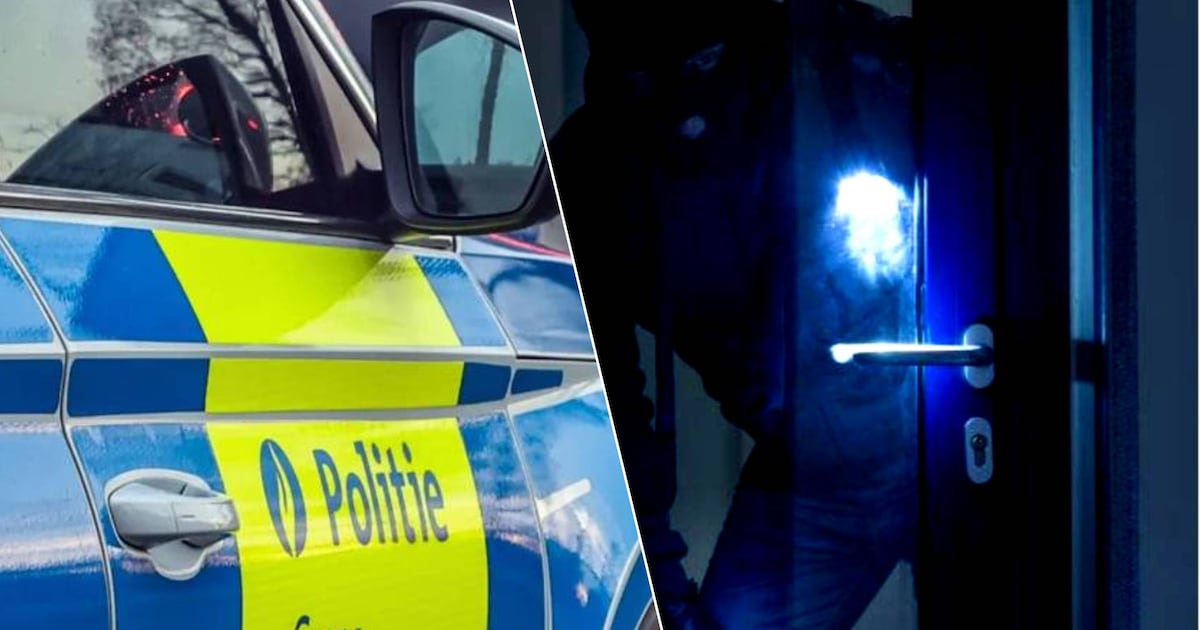Dieven viseren twee keer woningen in dezelfde straat in Kalmthout