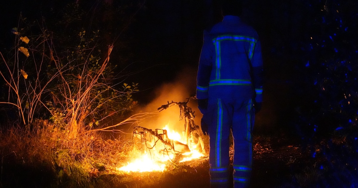 Scooter uitgebrand aan Amelterhout in Assen