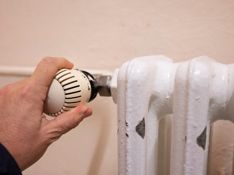 Foto ter illustratie.