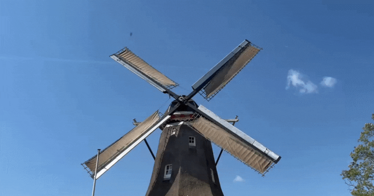 Jarenlang had Bunschoten geen molen: waarom werd die herbouwd? ‘Molenaar worden is populairder dan o
