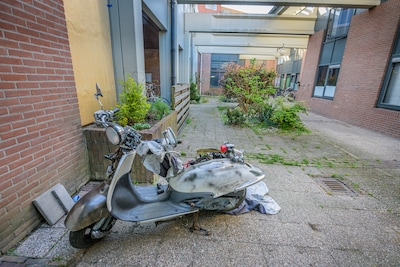 Image related to the article