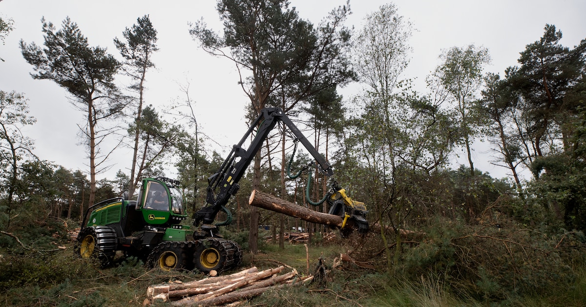 Werkzaamheden maken Heldense Bossen beter bereikbaar voor hulpdiensten