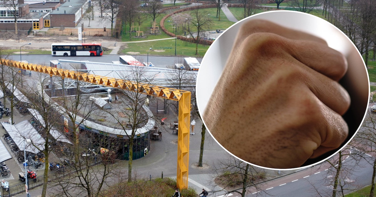 Jonge man (21) zwaar toegetakeld in centrum Uden