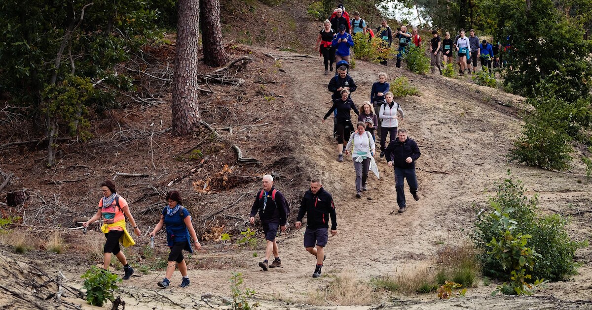 Al 2.500 sportievelingen ingeschreven voor BoslandTrail, nog 40% van de tickets beschikbaar