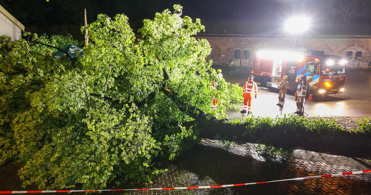 Boom waait om tijdens storm en blokkeert straat in Naarden