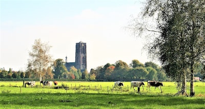 Dreigt markante skyline Oirschot te verdwijnen achter hoge nieuwbouw Boterwijk? Omwonenden vrezen, w