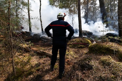 Vrijwillige brandweerman bekent bosbranden Fontainebleau te hebben aangestoken met benzine