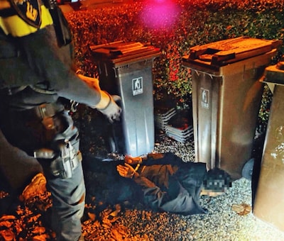 Politiehond DH Kevin vindt ‘jackpot’: dief kiest eieren voor zijn geld bij ‘potje verstoppertje spel