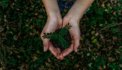 Image related to the article