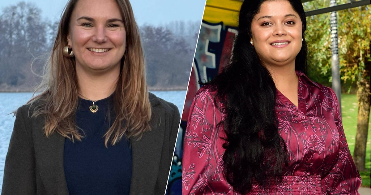 Politicoloog Erik van Zuylen onderzoekt vertrouwensbreuk GL-PvdA in Waddinxveen