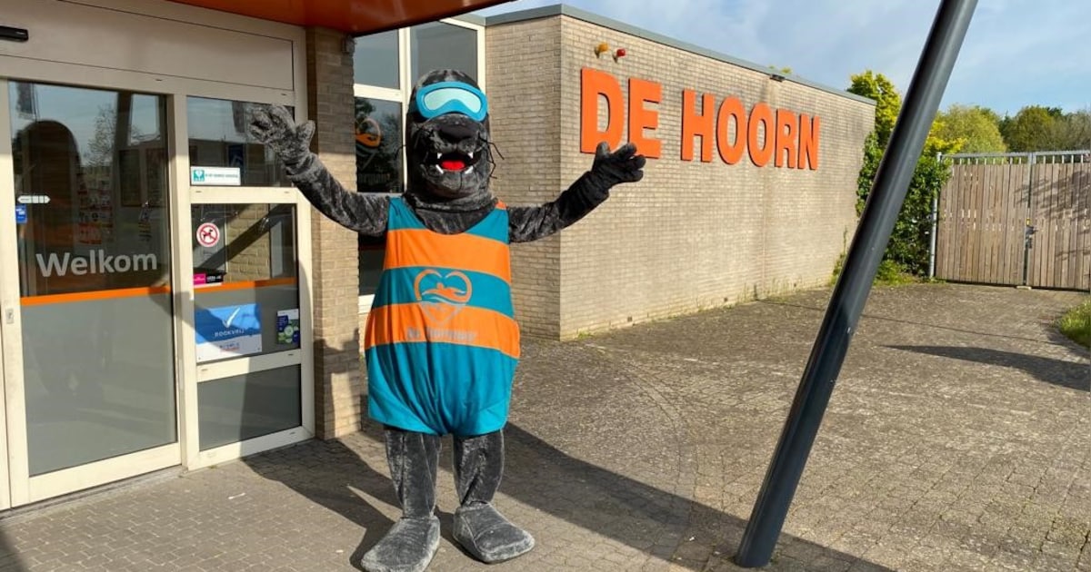 Uitkomst van onderzoek naar toekomst zwembad De Hoorn: ‘Zet een gloednieuw centrum neer’