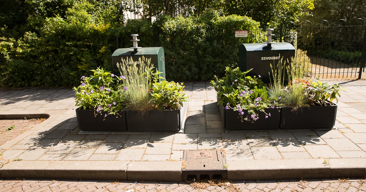 Landgraaf pakt zwerfafval aan met vrolijke containertuintjes