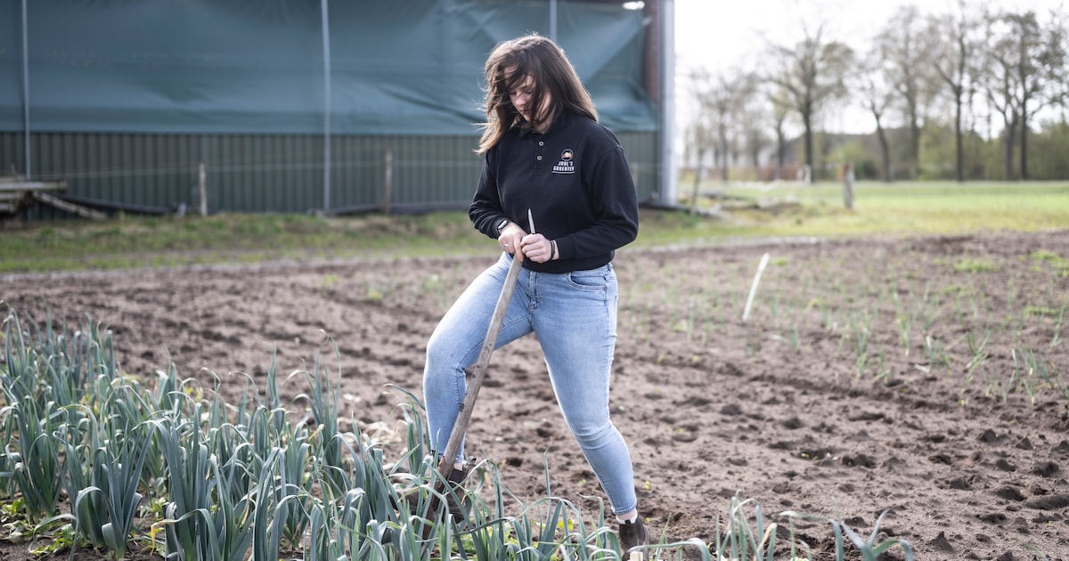 19-jarige boerin Julia oogst lof met haar eigen winkeltje: ‘Ik vind het magisch dat mijn groentes op