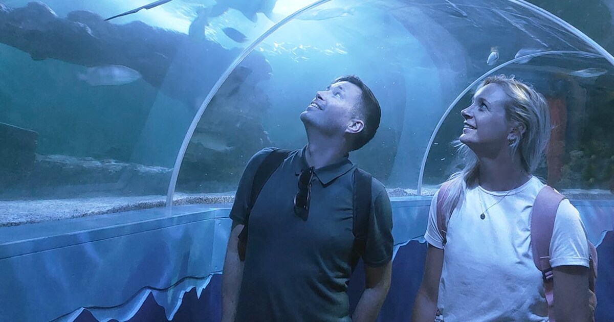 Sea Life Scheveningen heropent na verbouwing: dit kun je verwachten