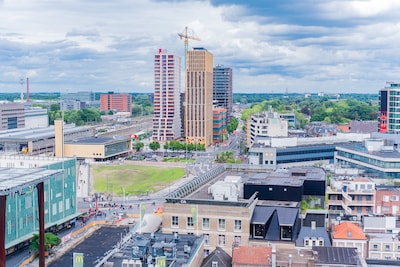 Image related to the article