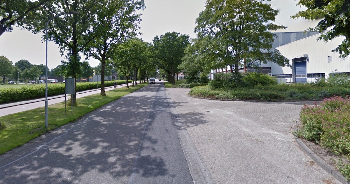 Gemeente presenteert plannen voor de Lindensteinlaan in Westerkwartier