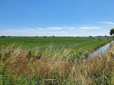 Zes gemeenten vrezen gevolgen voor boeren en fruittelers door nieuwe provinciale regels