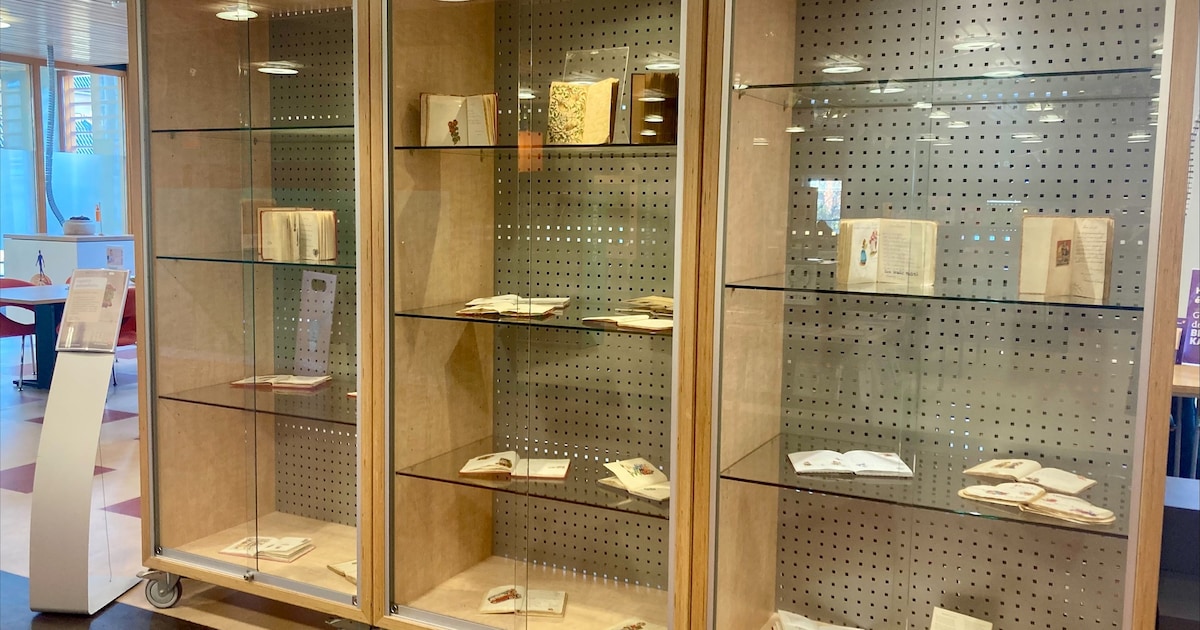 Werk van Rolien Joldersma te zien in bibliotheek Ter Apel tot eind maart