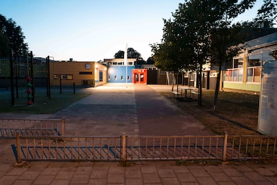 Image related to the article