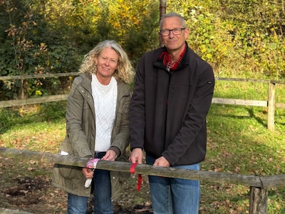 Wensboom Oss ineens kaal: ‘Wie doet nu zoiets’