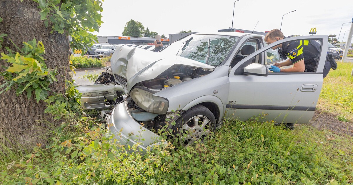 Auto knalt tegen boom aan op Noorderhogeweg in Drachten