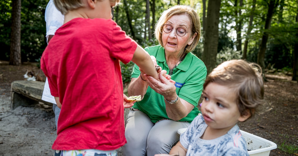 Nominaties geopend voor Haaksbergse Vrijwilligersprijs 2025
