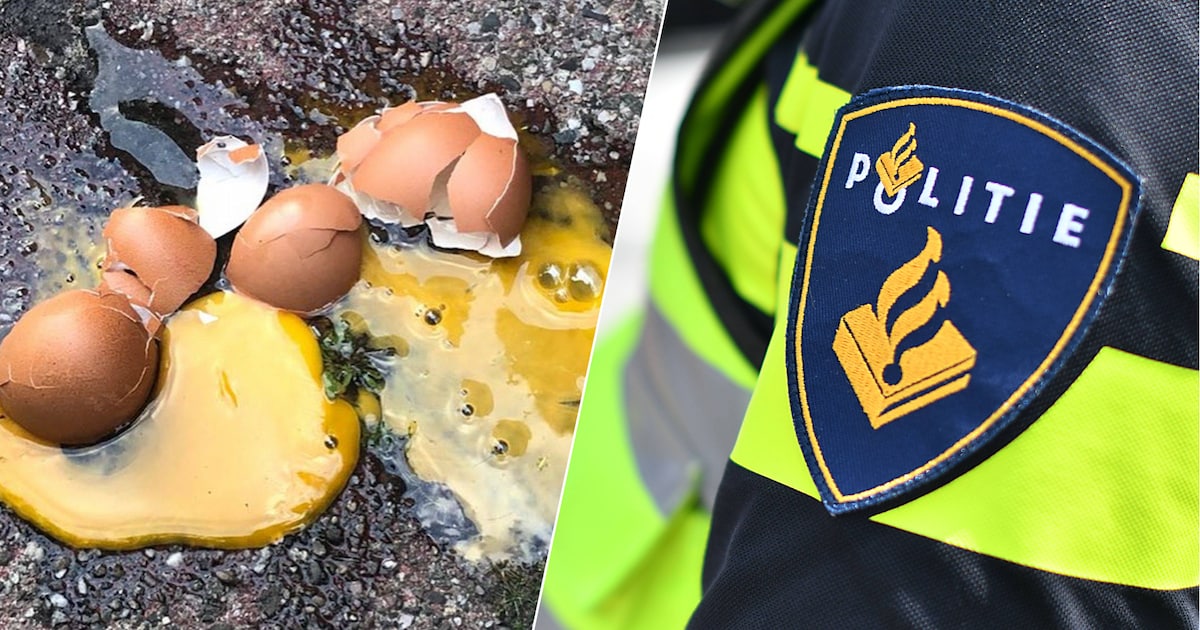 Eieren tegen de deur en belletje trekken, maat is vol voor bewoners in Alphense wijk