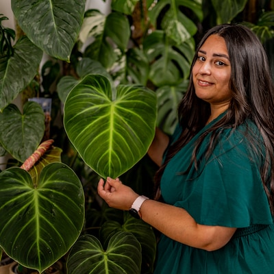 Noraiza woont tussen 175 planten: ‘Uitvinden wat elke plant precies van mij wil, vind ik het allerle