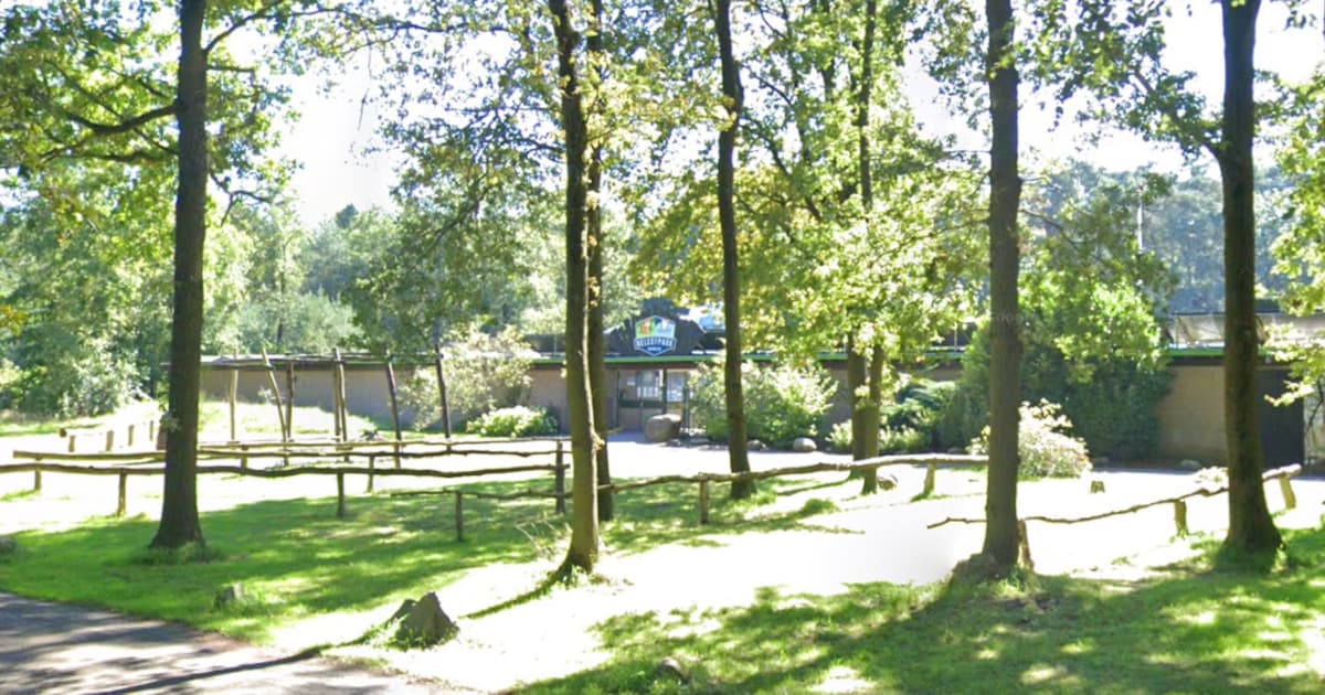 Beleefpark Dwingeloo sluit seizoen af met proefduiken