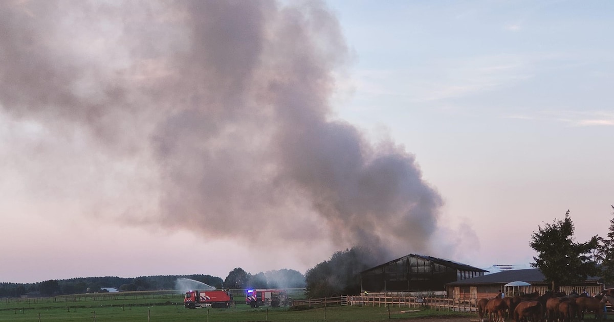 Twee schuren met hooi en een landbouwmachine in brand bij Swolgen