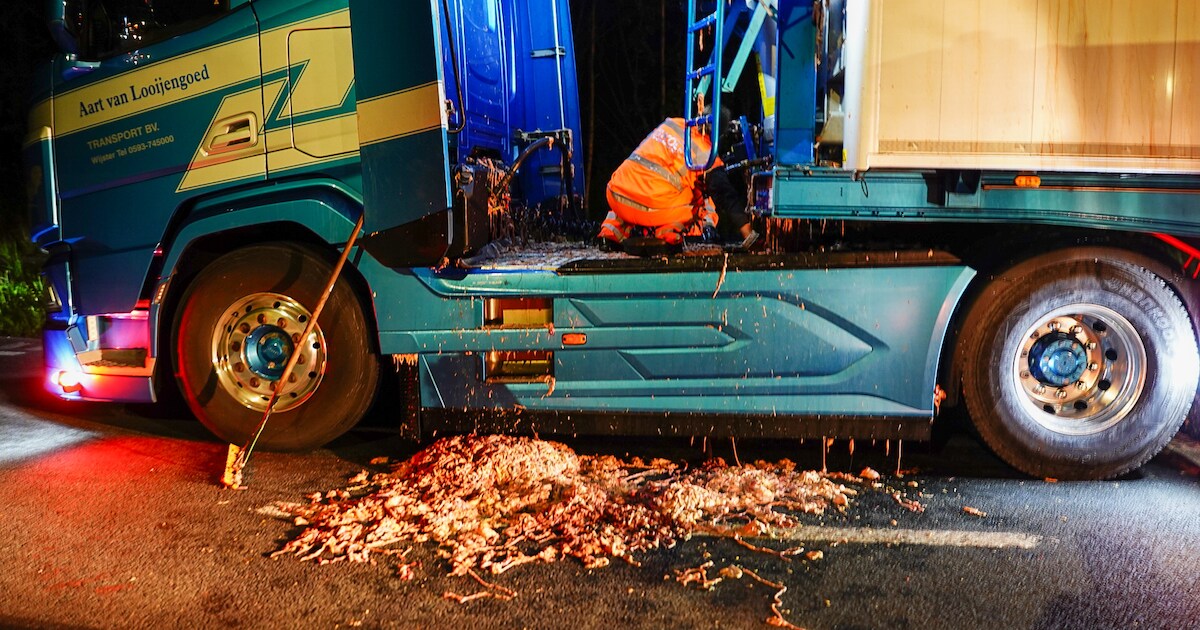 Vrachtwagen verliest slachtafval: weg glibberig, motorrijder onderuit ...