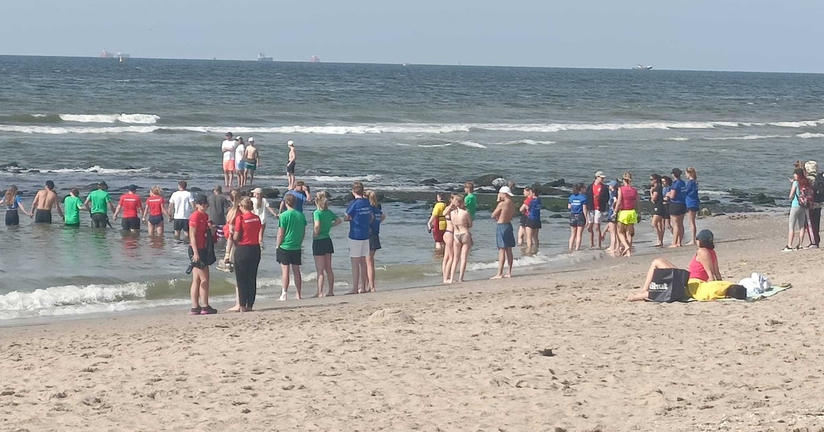 ‘Diepe geulen’ langs de kust levensgevaarlijk voor zeezwemmers: zo ...