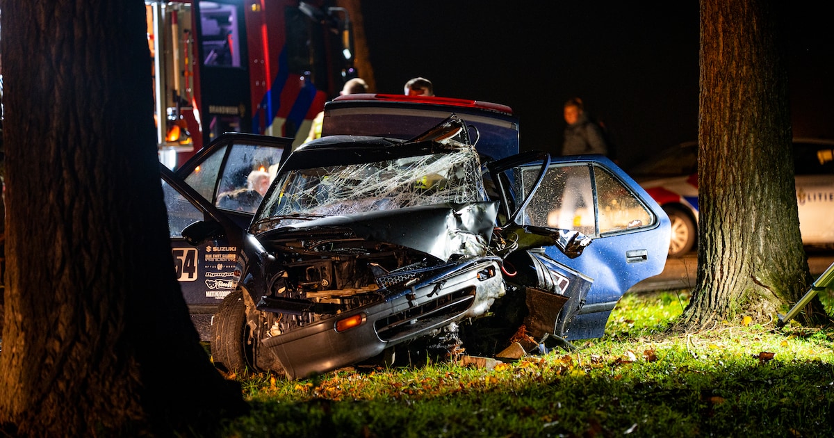 Auto rijdt hard tegen boom in Groot-Ammers