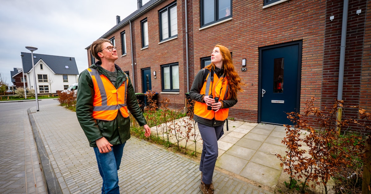 Gemeente De Bilt zoekt vogeltellers in De Bilt, Maartensdijk, Westbroek en Hollandsche Rading
