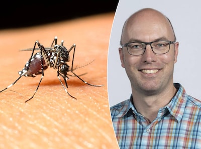 Geen paniek, wel opletten: dit moet je weten over het westnijlvirus