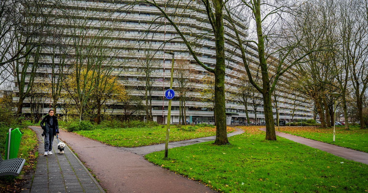 Zoetermeer krijgt grote opknapbeurt van 30 miljoen: keurige stoepen, meer bomen en extra boa’s