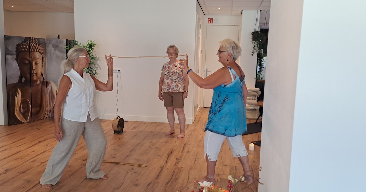 Bibliotheek Hellevoetsluis houdt cursus Tai Chi en Qi Gong