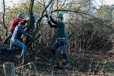 Griezeltochten en Natuurwerkdagen: dit doe je dit weekend in Enschede en Haaksbergen