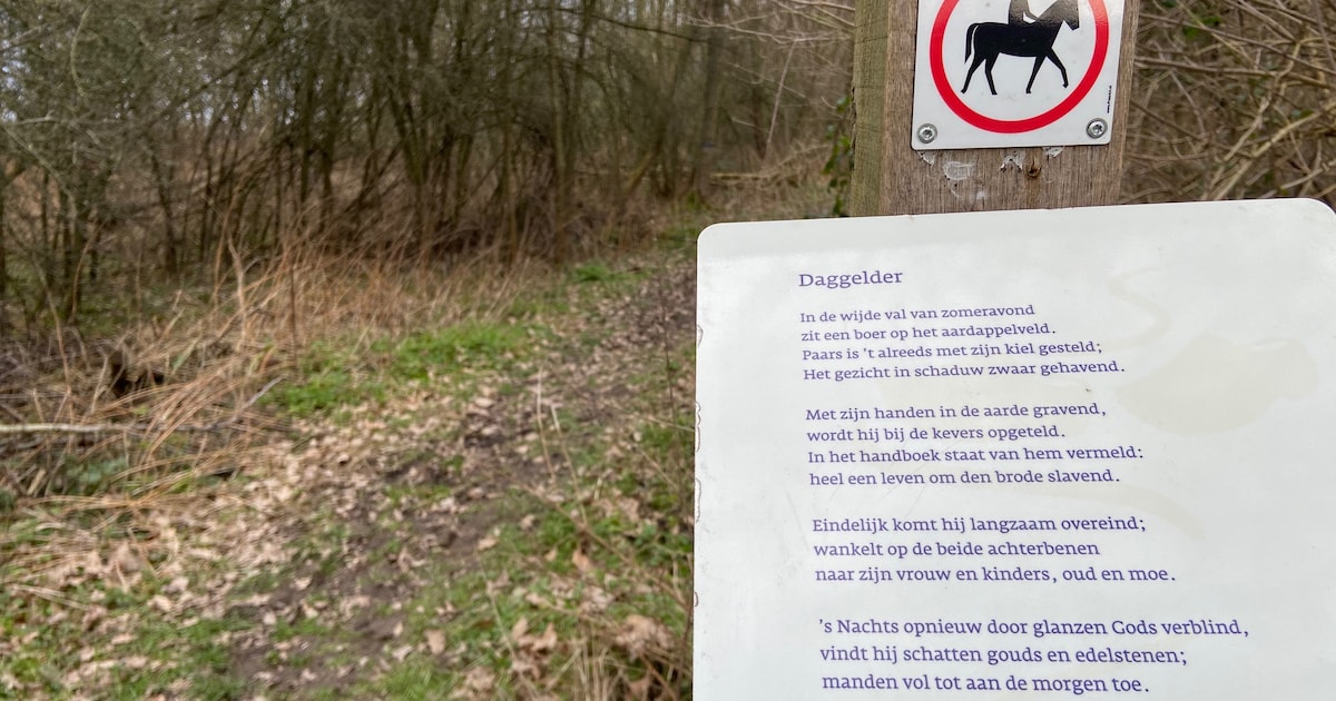 Gedichten van Gerrit Achterberg vernieuwd op klompenpad van Wijk bij Duurstede naar Doorn