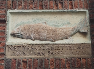 Mysterie opgelost: wat betekent de gevelsteen aan de zijkant van De Zalm?