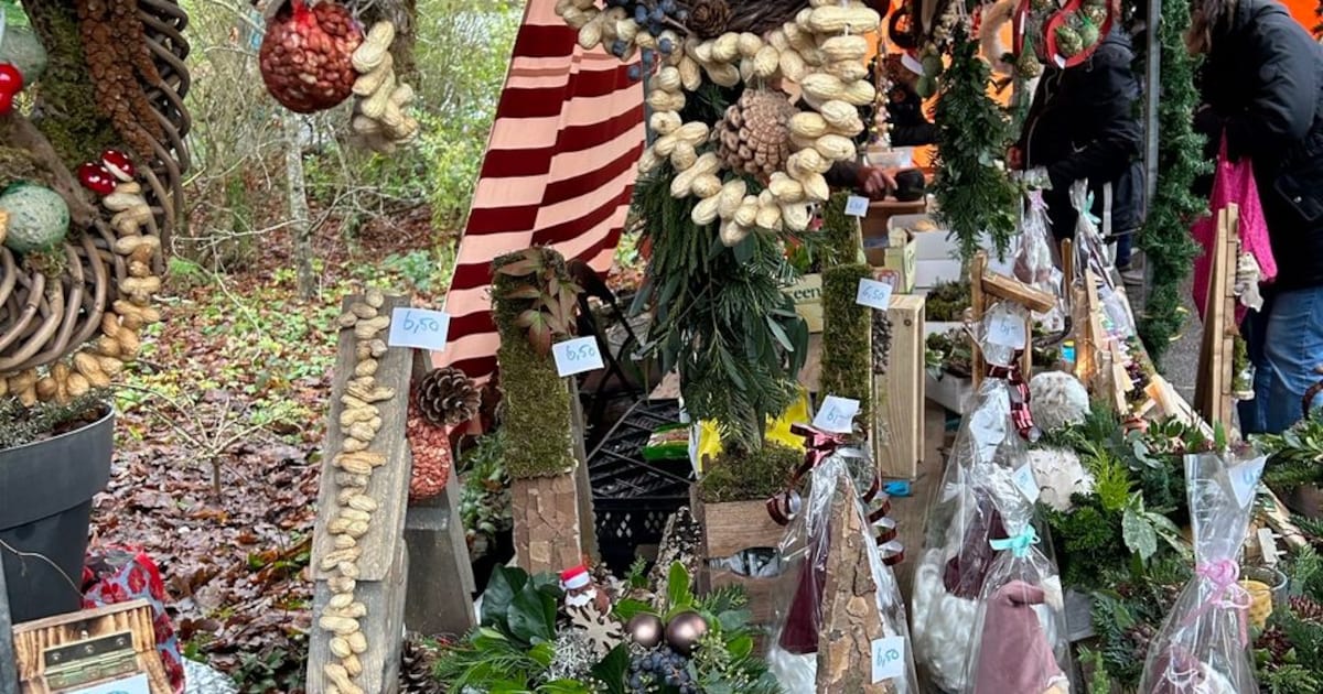 Kerstmarkt bij tuinvereniging Ridderspoor in Alphen aan den Rijn