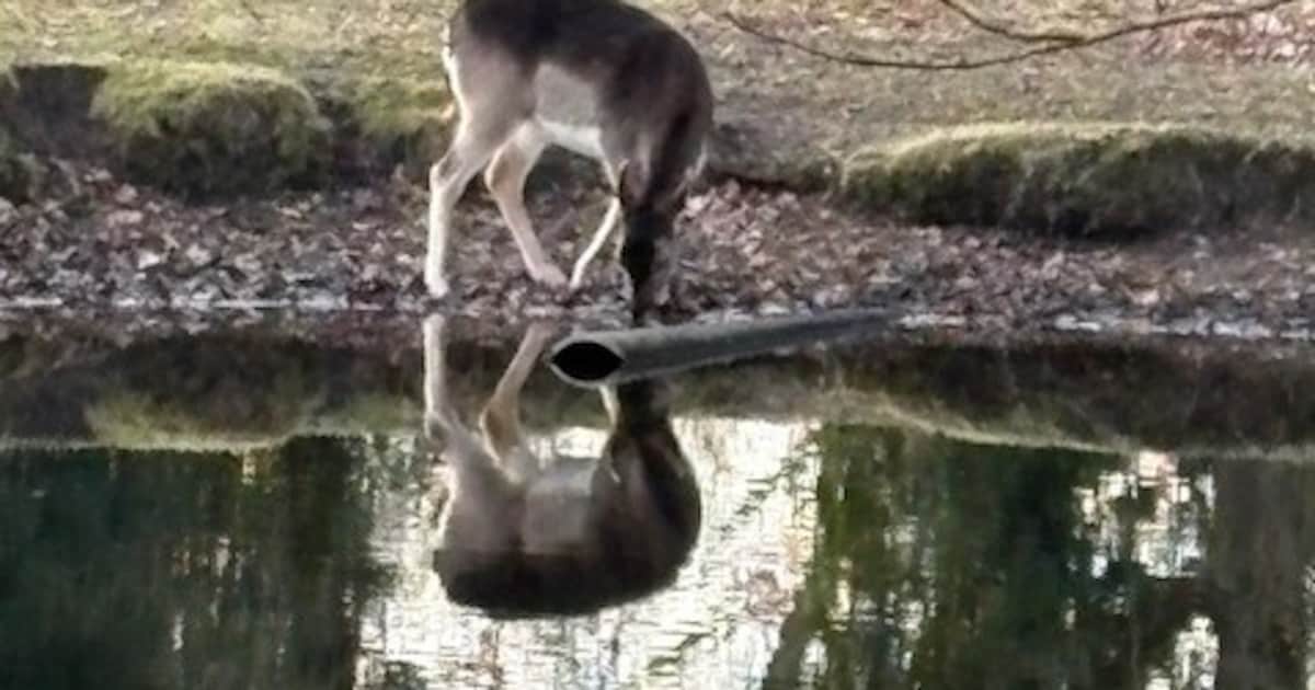 Dit stuurden jullie in: Spiegelbeeld, vertel eens even… • Peuters kijken hun ogen uit bij brandweerk