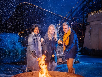 Attractiepark Toverland