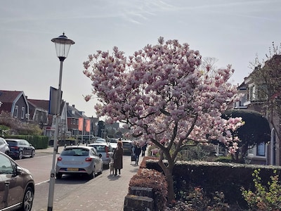 Lentefeest! 10 x de mooiste foto’s van bloesem in Zoetermeer