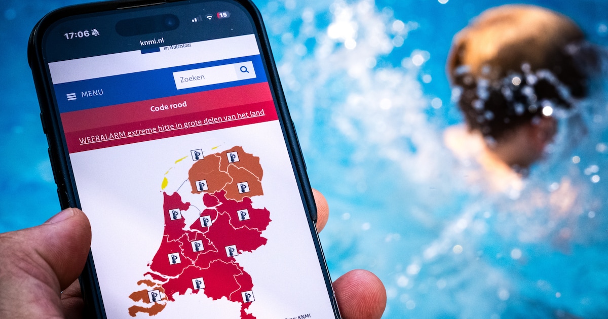 Code rood ontregelt Rotterdam: Blijdorp eerder dicht, rechtbank stelt ...
