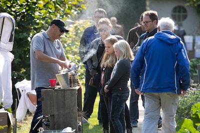 Vanstreek Festival met thema 'ontdek de vibe' op Landgoed De Grote Beek in Eindhoven